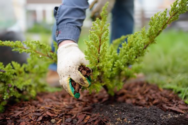Church Mulching in Hattiesburg