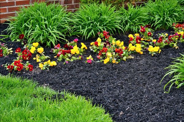 Apartment Mulching in Hattiesburg